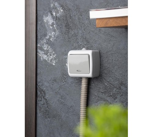 Мурманск Выключатель 1 -клавишный с индикатором 10А IP54 серый EKF  EFV10-121-30-54  EKF