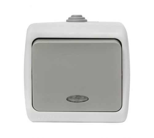 Мурманск Выключатель 1 -клавишный с индикатором 10А IP54 серый EKF  EFV10-121-30-54  EKF