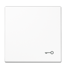 Клавиша с символом "замок"; белая LS990TWW Jung