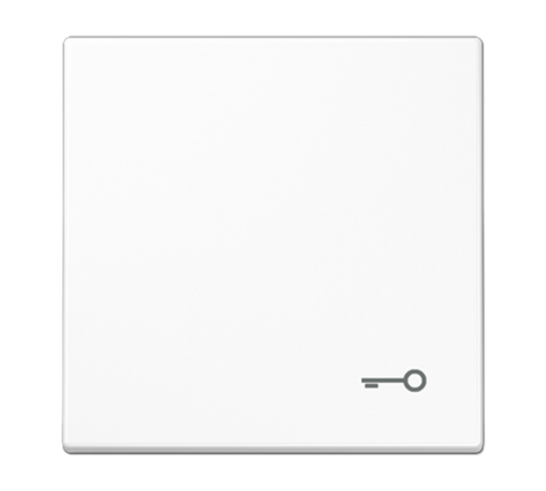 Клавиша с символом "замок"; белая LS990TWW Jung