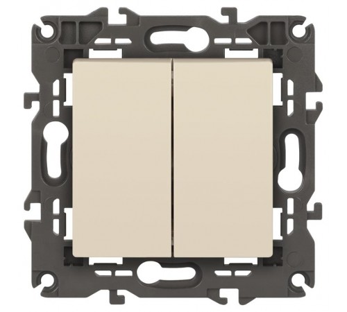 14-1104-02 Выключатель 2-клавишный, 10АХ-250В, IP20, Эра Elegance, сл.кость  Б0034231  ЭРА