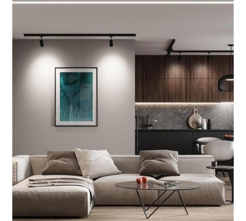 Светильник трековый светодиодный на шинопровод 30W, 2700 Lm, 4000К, 35 градусов, черный, 3х фазный, AL103 со встроенным драйвером  41602  FERON