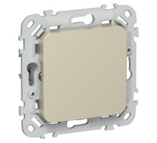 FLITE Заглушка с суппортом ЗГ-ФлШ шампань  FI-PL10-K37  IEK