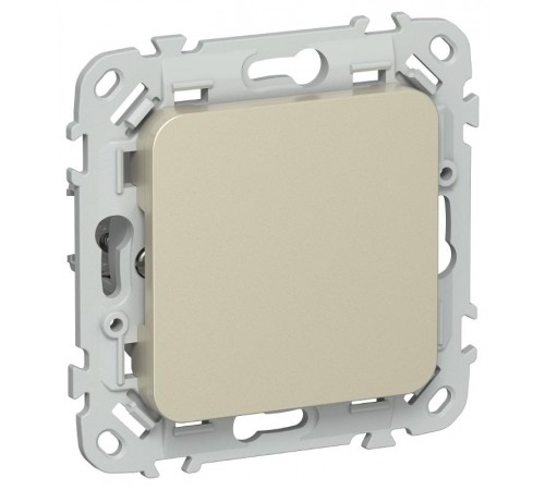 FLITE Заглушка с суппортом ЗГ-ФлШ шампань  FI-PL10-K37  IEK