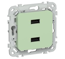 FLITE Розетка USB A+A 2,1А РЮ-2-ФлФ фисташковый  FI-U21-D31-K93  IEK