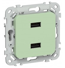 FLITE Розетка USB A+A 2,1А РЮ-2-ФлФ фисташковый  FI-U21-D31-K93  IEK