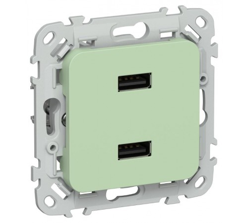 FLITE Розетка USB A+A 2,1А РЮ-2-ФлФ фисташковый  FI-U21-D31-K93  IEK