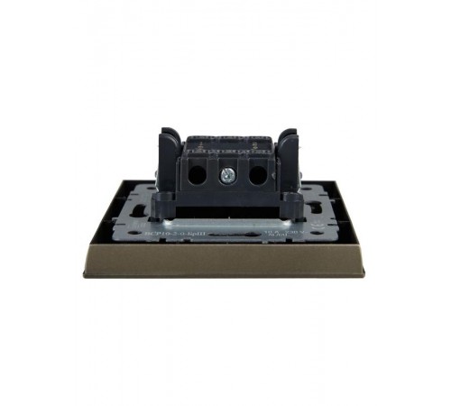 BRITE Выключатель 2-клавишный 10А в сборе ВСР10-2-0-БрШ шампань  BR-V20-0-10-K37-F  IEK