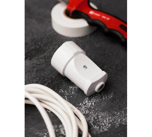 Гнездо штепсельное б/з бел. 10А 250В EKF PROxima  ASG10-10  EKF