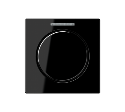 Накладка со световодом A1540BFKO5SW Jung