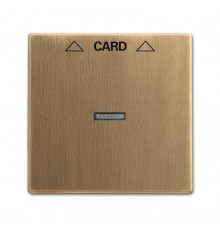 Плата центральная (накладка) для механизма карточного выключателя 2025 U, серия Династия, Латунь античная  1710-0-4078   2CKA001710A4078  ABB