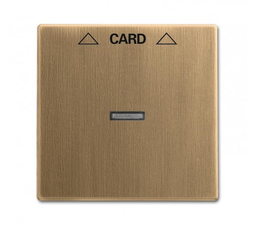 Плата центральная (накладка) для механизма карточного выключателя 2025 U, серия Династия, Латунь античная  1710-0-4078   2CKA001710A4078  ABB
