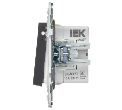 SKANDY Кнопка звонка с индикацией для отелей 10А SK-V17T титан   SK-V14-2-10-K48  IEK