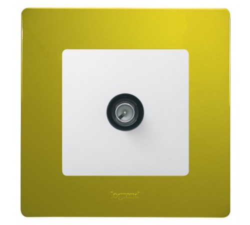 Etika Зеленый папоротник Рамка 1-ая  672541  Legrand