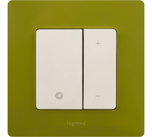 Etika Зеленый папоротник Рамка 1-ая  672541  Legrand