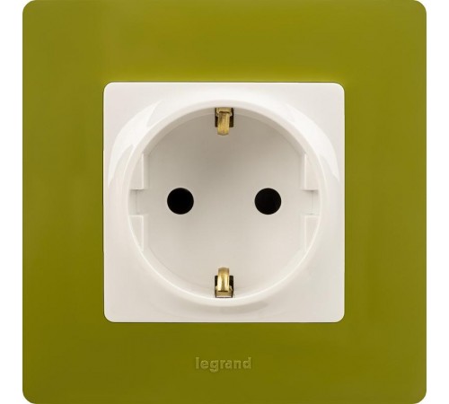 Etika Зеленый папоротник Рамка 1-ая  672541  Legrand