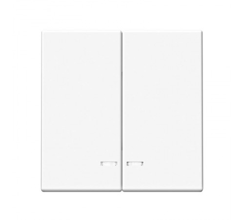 ArtGallery Белый Выключатель 2-клавишный с подсветкой, сх.5а, 10АХ, механизм  GAL000153  SE