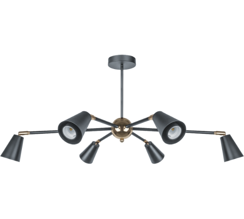 Светильник декоративный бытовой  80 439 NLF-C-051-01 потолочный черный золото  80439  Navigator