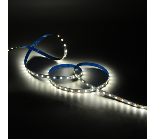Лента светодиодная Basic LED 5050/60 12V 8W/m 900lm/m 3000K 10mm IP20 5m 1/100  BT024  Gauss