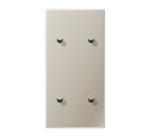 Центральная плата, 2 поста, для вертикальной установки, тумблеры 2+2,конус; металлическое исполнение; нержавеющая сталь; серия LS  ES12-25K1  Jung