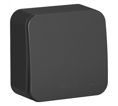 Blanca Антрацит О/У с изолирующей пластиной Выключатель 1-клавишный с подсветкой , 10А, 250B  BLNVA101116  SE