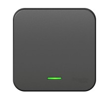 Blanca Антрацит О/У с изолирующей пластиной Выключатель 1-клавишный с подсветкой , 10А, 250B  BLNVA101116  SE