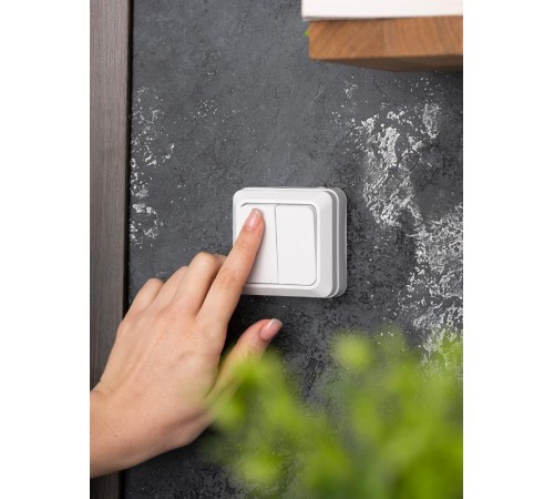 Рим Выключатель 2-клавишный 10А белый EKF  ENV10-023-10  EKF