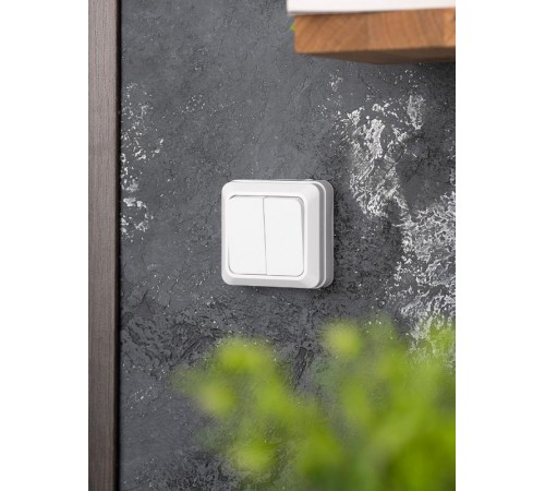 Рим Выключатель 2-клавишный 10А белый EKF  ENV10-023-10  EKF