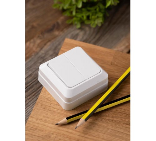 Рим Выключатель 2-клавишный 10А белый EKF  ENV10-023-10  EKF