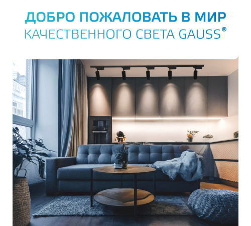 Адаптер питания для подключения светильника к трековой системе, цвет черный  TR124  Gauss