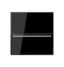 Накладка на ESU230-2 ACARDRFIDSW Jung