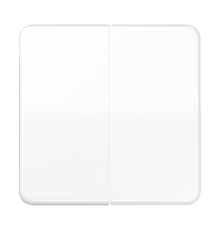 Двойная клавиша для балансирных механизмов выключателей (кнопок), в комплекте с CD95HP (крепежный элемент), возможно IP44; дюропласт; белый; CD500  C