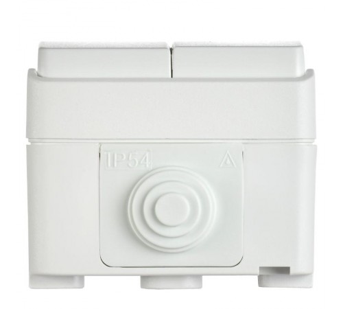 FORS Выключатель 2-клавишный О/У IP54 ВС20-2-0-ФБ Белый  EVS20-K01-10-54-DC  IEK