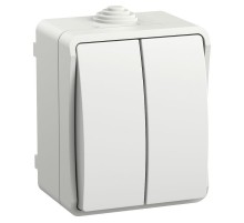 FORS Выключатель 2-клавишный О/У IP54 ВС20-2-0-ФБ Белый  EVS20-K01-10-54-DC  IEK