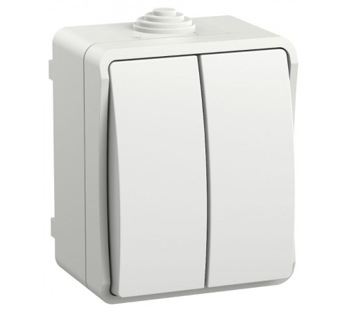 FORS Выключатель 2-клавишный О/У IP54 ВС20-2-0-ФБ Белый  EVS20-K01-10-54-DC  IEK