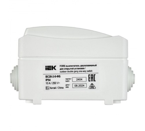 FORS Выключатель 2-клавишный О/У IP54 ВС20-2-0-ФБ Белый  EVS20-K01-10-54-DC  IEK