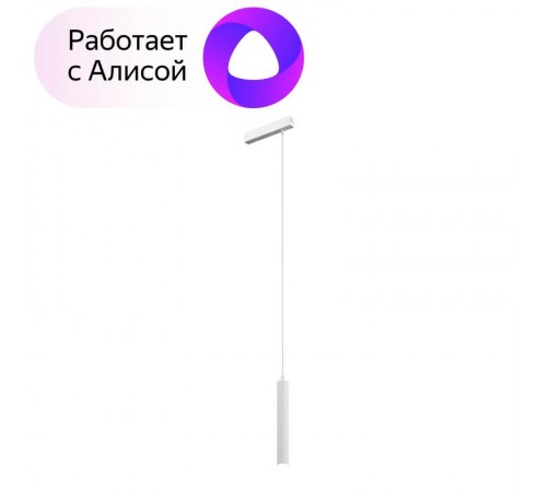 Светильник трековый подвесной DK8008-WH SMART HANG 9W DIM 2700K-6000K белый  DK8008-WH  DENKIRS