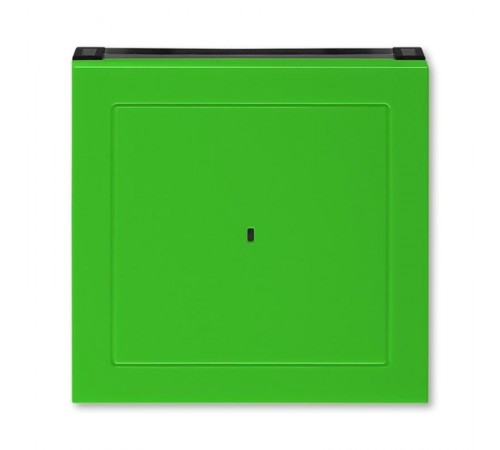 ABB Levit Зелёный / дымчатый чёрный Накладка для выключателя карточного  3559H-A00700 67  2CHH590700A4067  ABB