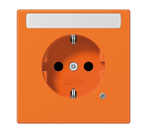SCHUKO розетка с полем для надписи 9x58 мм LS1520BFNAKOO Jung