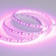 Лента светодиодная RT-A120-8mm 12V Pink (9.6 W/m, IP20, 2835, 5m) (arlight, Открытый)  015897(2)  Arlight