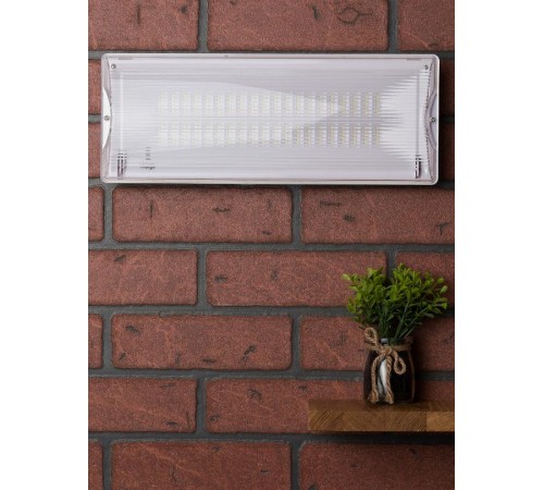 Светильник аварийного освещения SAFEWAY-40P пост. действия LED EKF Proxima  dpa-204  EKF