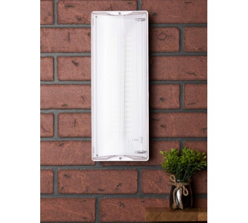 Светильник аварийного освещения SAFEWAY-40P пост. действия LED EKF Proxima  dpa-204  EKF