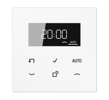 Стандартный таймер с диплеем LS1750DWW Jung