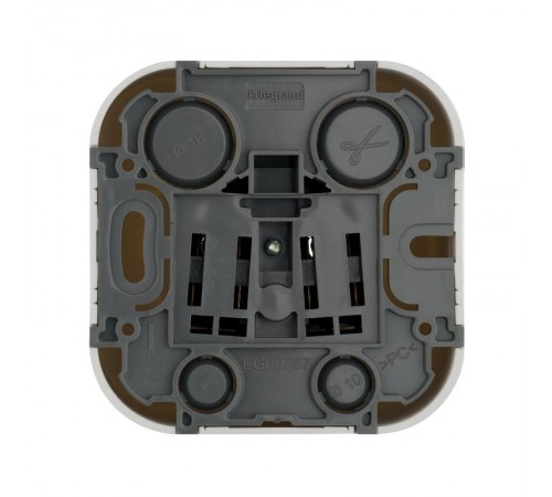 Quteo Белый Розетка без заземления  782210  Legrand