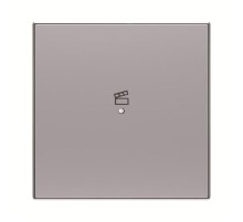 SRS-1-85PL Клавиша одинарная free@home, SKY, сцена, серебристая2CLA852627A1301 ABB