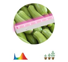 Светильник светодиодный для растений белый спектр ЭРА LLED-05-T5-FITO-9W-W  Б0028199  ЭРА