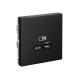 ArtGallery Карбон Розетка USB тип-С 65Вт высокоскор.заряд. QC, PD, механизм  GAL001027  SE
