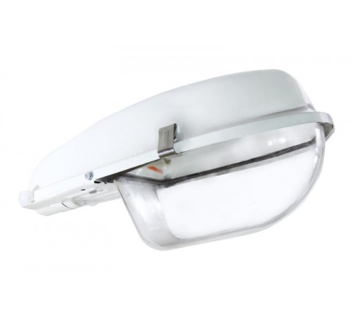 Светильник РКУ 97-250-002 ДРЛ 250Вт Е40 ЭмПРА IP54 с/стеклом  SQ0318-0012  TDM