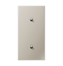 Центральная плата, 2 поста, для вертикальной установки, тумблеры 1+1,цилиндр; металлическое исполнение; нержавеющая сталь; серия LS  ES12-20R1  Jung