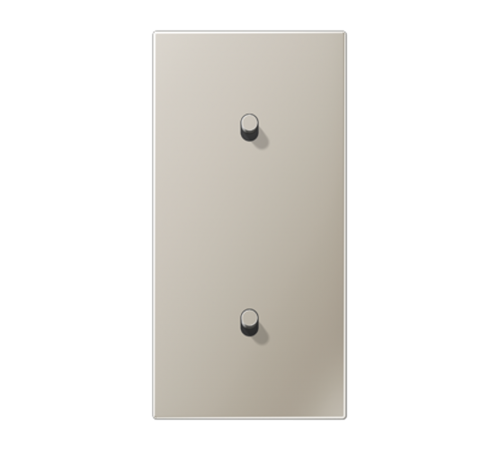 Центральная плата, 2 поста, для вертикальной установки, тумблеры 1+1,цилиндр; металлическое исполнение; нержавеющая сталь; серия LS  ES12-20R1  Jung